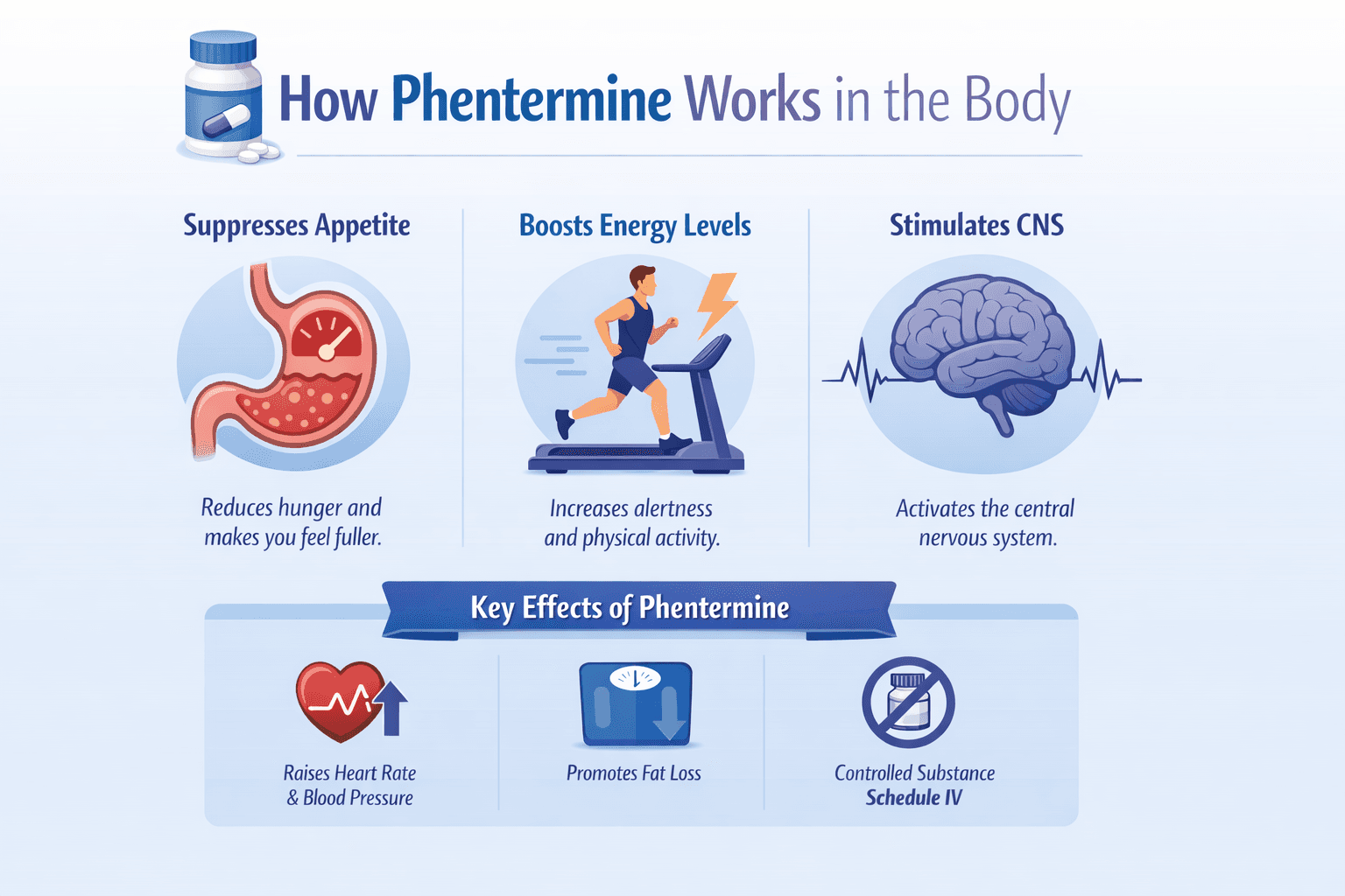 Phentermine or GLP-1 Injections Which Weight Loss Option Fits You